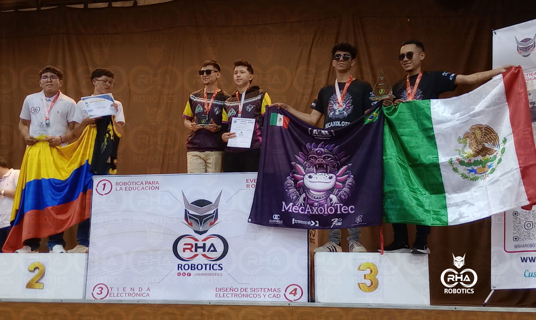 Competencia-dee-sumos-robot